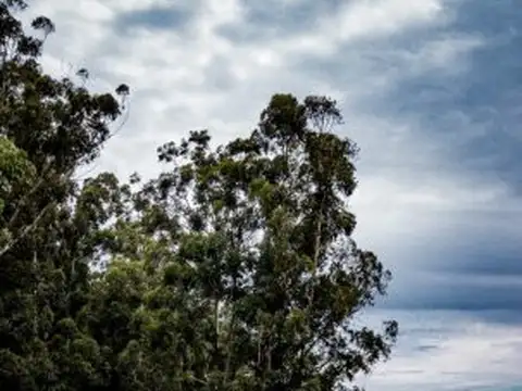 Terreno en Venta de 2025,0 m2