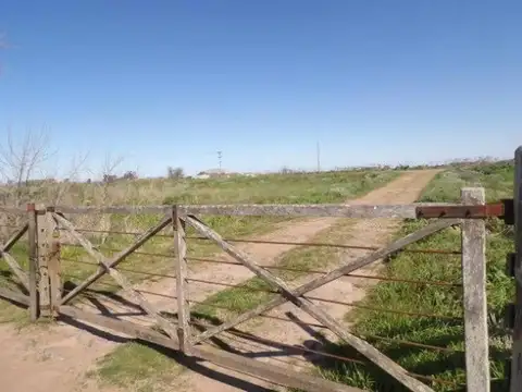 Ruta 20 Km 81.5