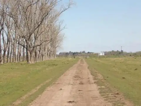 CAMPO EN VENTA RUTA 20 KM 81.5 CHASCOMUS