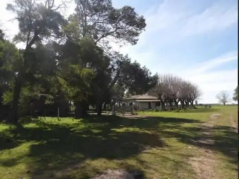 Ruta 20 Km 81.5