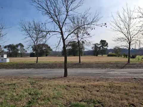Avenida Fernández Beschtedt, Barrio Everlinks (Lujan)