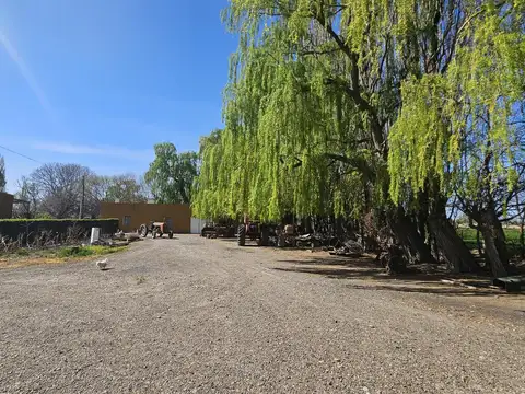 Chacra en Gaiman, Chubut, Patagonia