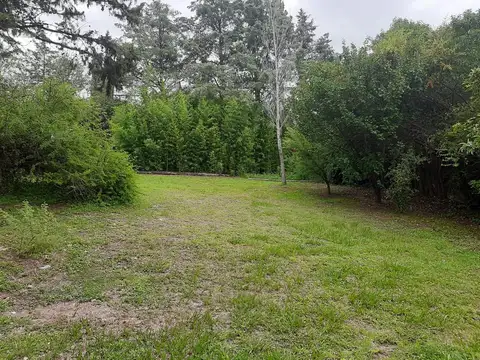 Terreno en Venta 45  mts Fondo