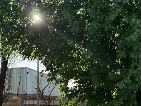 San francisco del Monte y Tuyuti 200