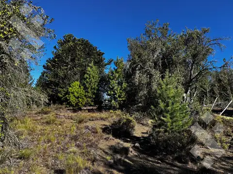 Terreno en Venta 47  mts Fondo