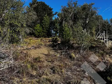 Terreno en Venta en Villa Pehuenia, USD 120.000