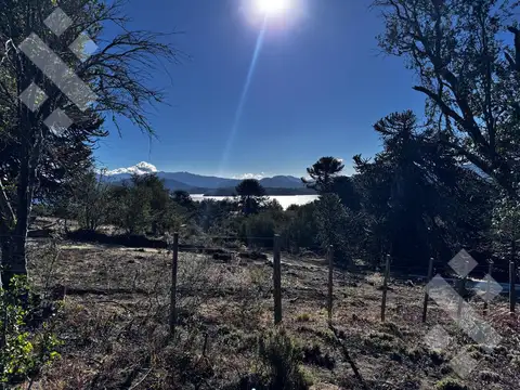 Terreno Villa Pehuenia- 951,38 m2