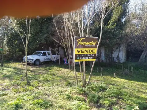 Terreno - Venta - Argentina, Roque Pérez - 9 DE JULIO, AV. 100