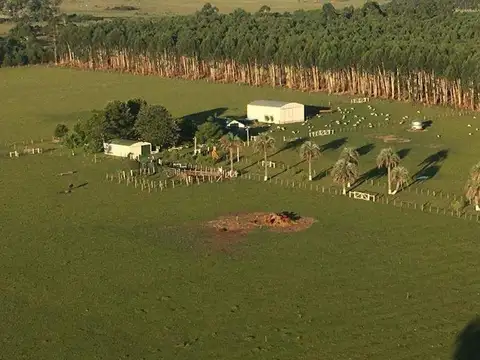 Campo en venta de 35ha ubicado en Estancia Grande