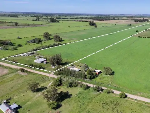 Venta Chacra en Los Cerrillos c/ galpones y mangas