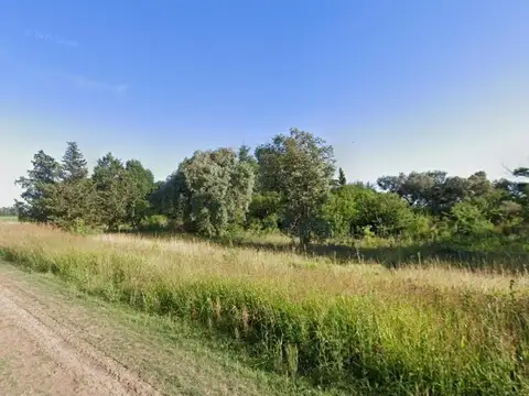 Campo en venta - 10.100Mts2 - Chivilcoy