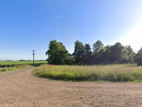 Campo en venta - 10.100Mts2 - Chivilcoy