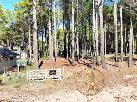 Terreno en Venta de 1009,0 m2