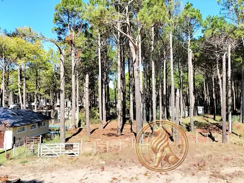 Terreno en Venta en Pinamar, USD 90.000