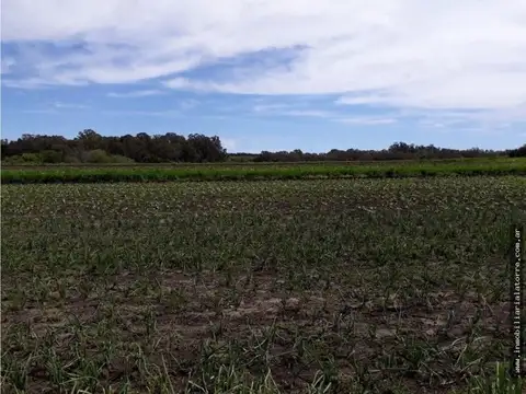 Ruta 200