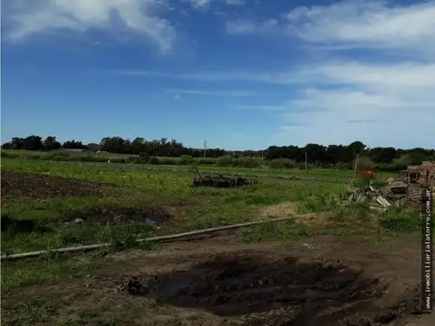 VENTA DE CAMPO 10 HECTÁREAS SOBRE RUTA 226
