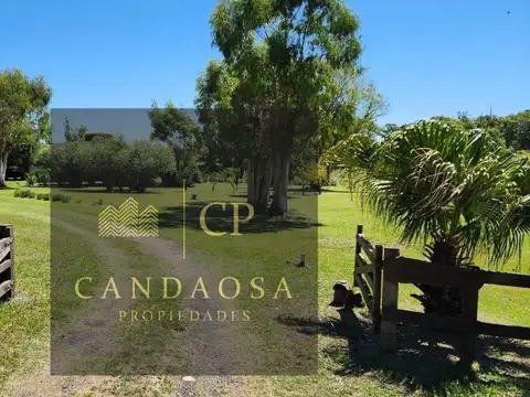 Ruta 9, Km 137, B2942 Baradero, Provincia De Bueno
