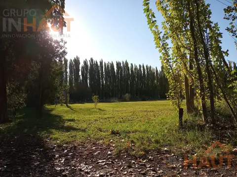 Chacra en Cinco Saltos