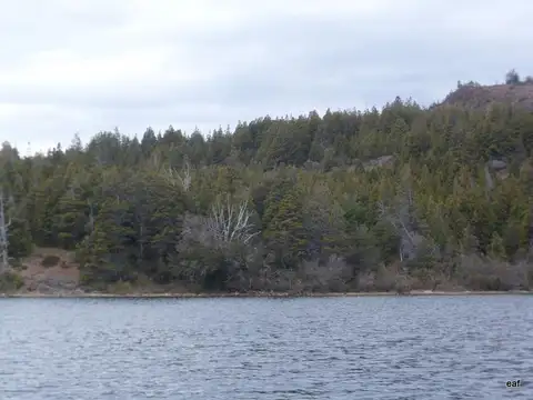 Campo de 423 Has en Venta - Lago Lezama