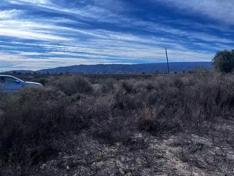 TERRENOS/FRACCIONES/LOTEOS - LOTEOS - CAUCETE