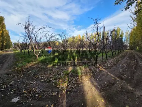 ruta 151 y rp69