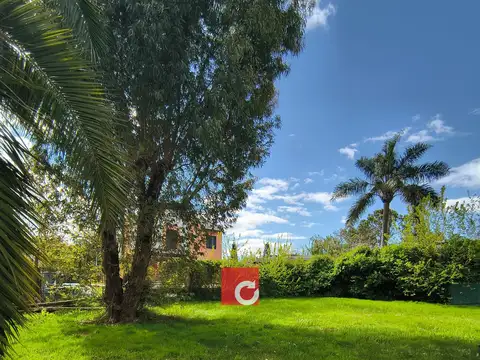 Terreno en Venta 37  mts Fondo