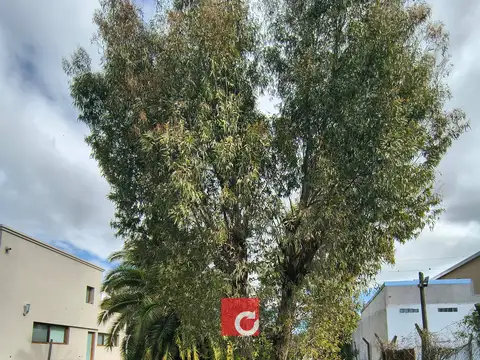15 E/52 y 54-Lote en venta en Villa del Plata Sur