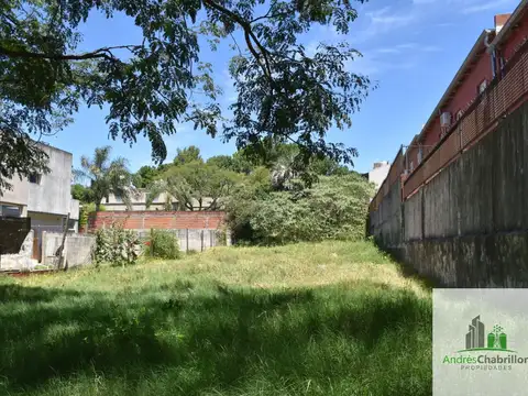 Victorino Simón y Antonio de Luque 100