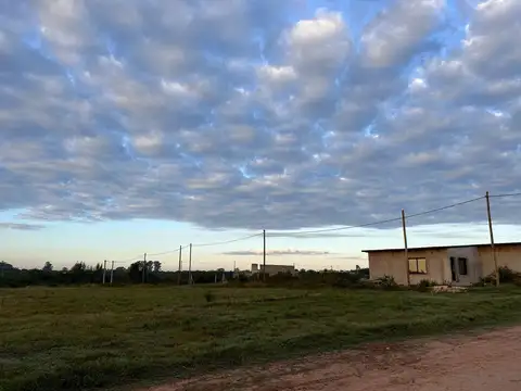 Los Cardos