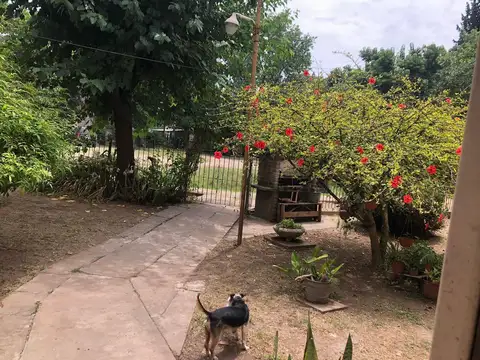 E. Barakat M46 , Piso PB