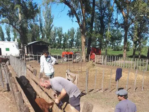 Candela S/N , Piso 0