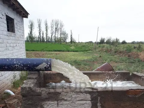 Campo en Venta de 0,02  ha