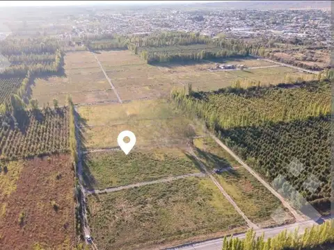 VENTA LOTE 306m2 - LOTEO LAS ESCULTURAS, ALLEN