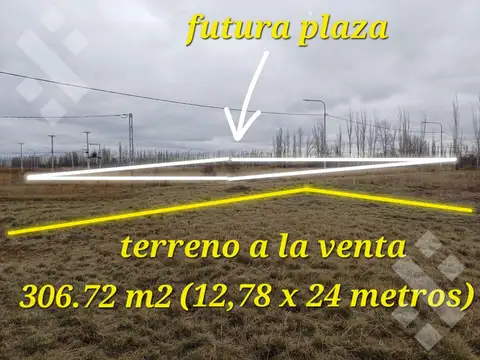 VENTA LOTE 306m2 - LOTEO LAS ESCULTURAS, ALLEN