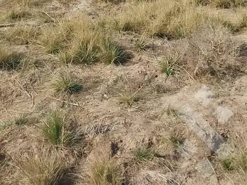 VENTA LOTE 306m2 - LOTEO LAS ESCULTURAS, ALLEN