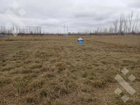 Terreno en Venta de 306,0 m2