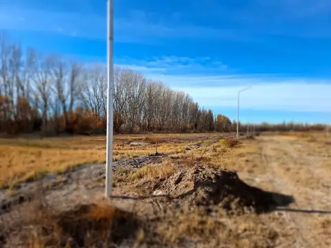 Terreno en Venta de 200,0 m2