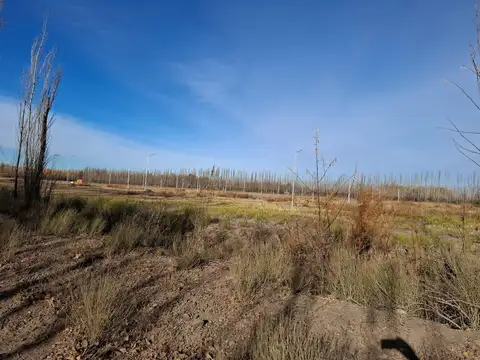 Terreno en Venta 20  mts Fondo