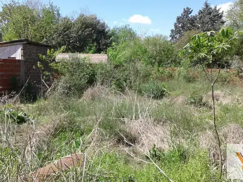 Terreno en Venta de 600,0 m2