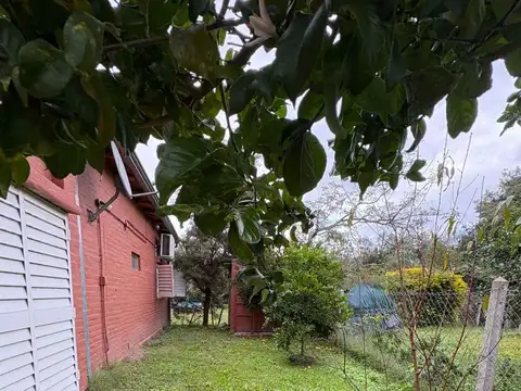 Urunday y Los Gorriones, Arroyo leyes 100