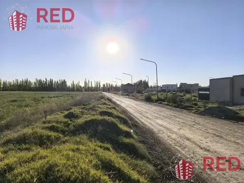 Terreno en Venta en Cipolletti, USD 85.000