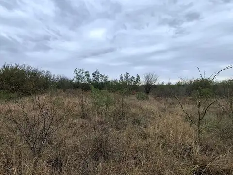 Terreno en Venta de 3000,0 m2