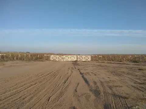 Campo en Venta con Alambrado