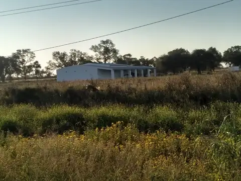 Campo en Venta Agrícola