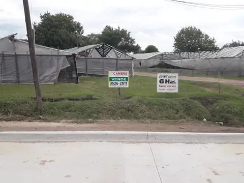 Campo en Venta de 6  ha