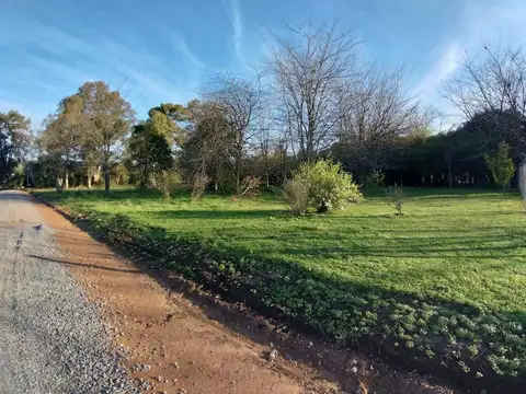 Terreno en Venta en San Eduardo - Luján, USD 29.000
