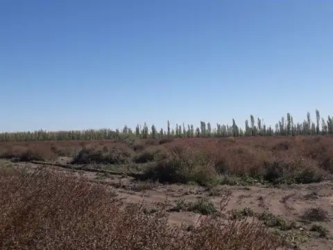 Quinta en Venta en San Rafael, USD 660.000