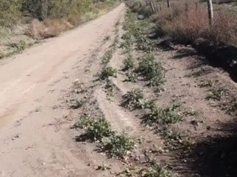 Quinta en Venta 2025 años