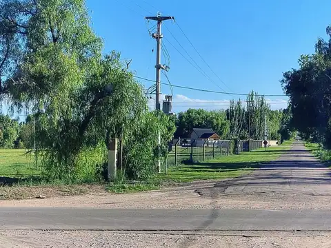 Terreno en Venta de 800,0 m2