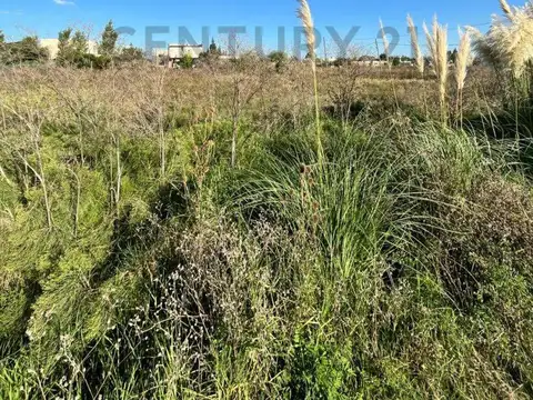 Terreno en Venta 50  mts Fondo